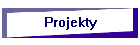 Projekty