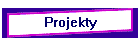 Projekty